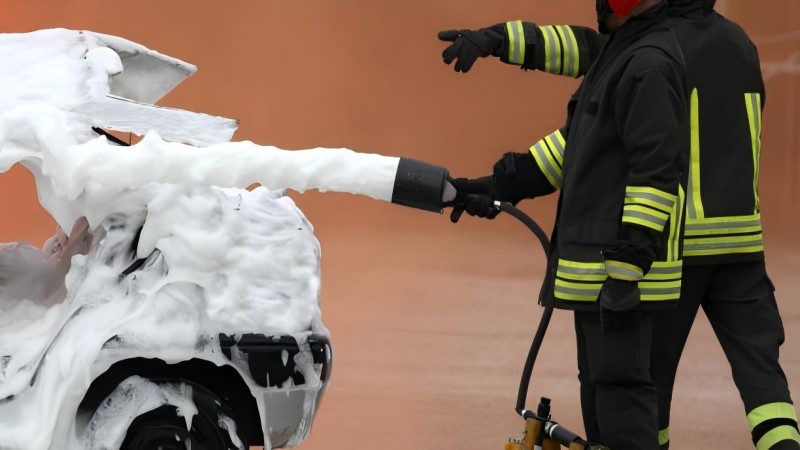 istockphoto-1403618896-612x612 istockphoto-1403618896-612x612