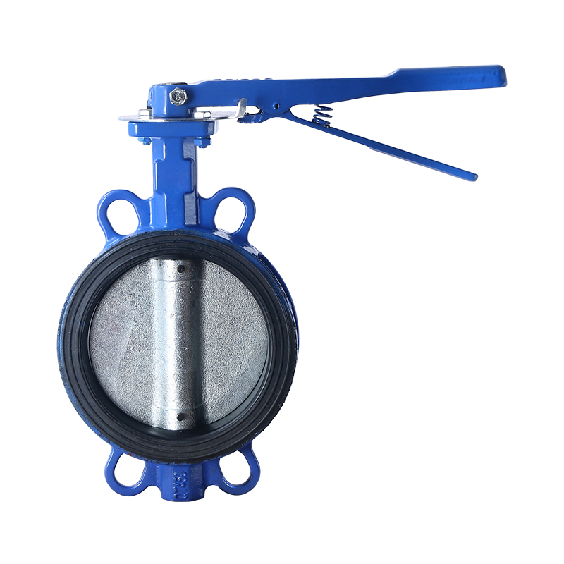 Custom Manual High-Performance 2 Inch Cast Ductile Iron Wafer Butterfly Valve DN25-DN200 Handle